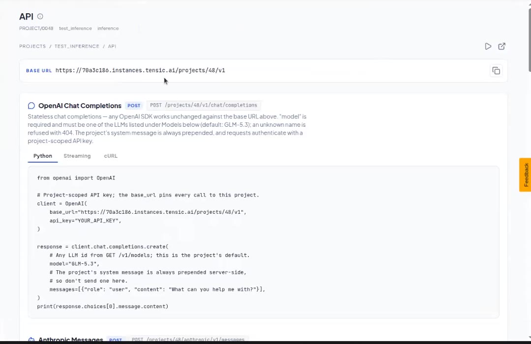 API page of an inference project showing the base URL and an OpenAI SDK example